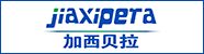 浙江加西貝拉科技服務(wù)股份有限公司